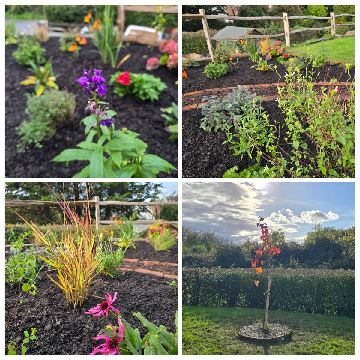 Garden project