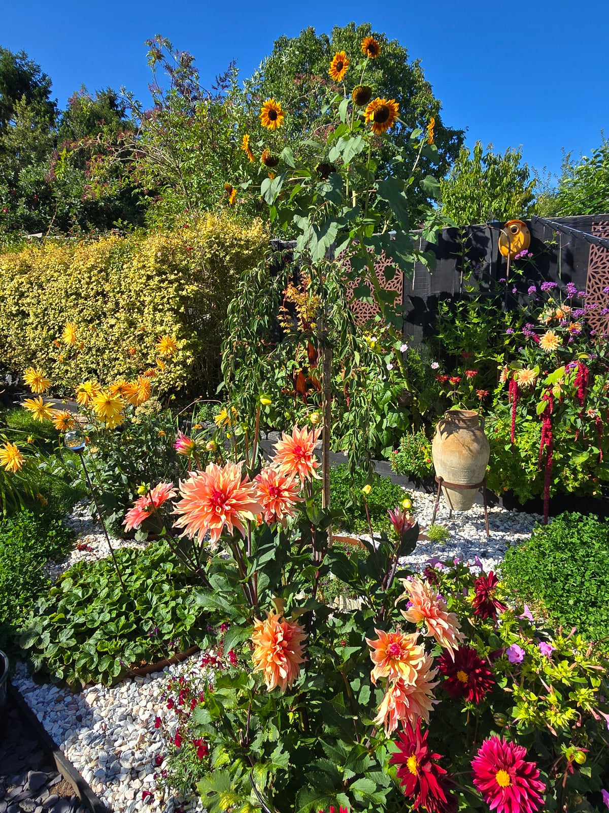 Garden project