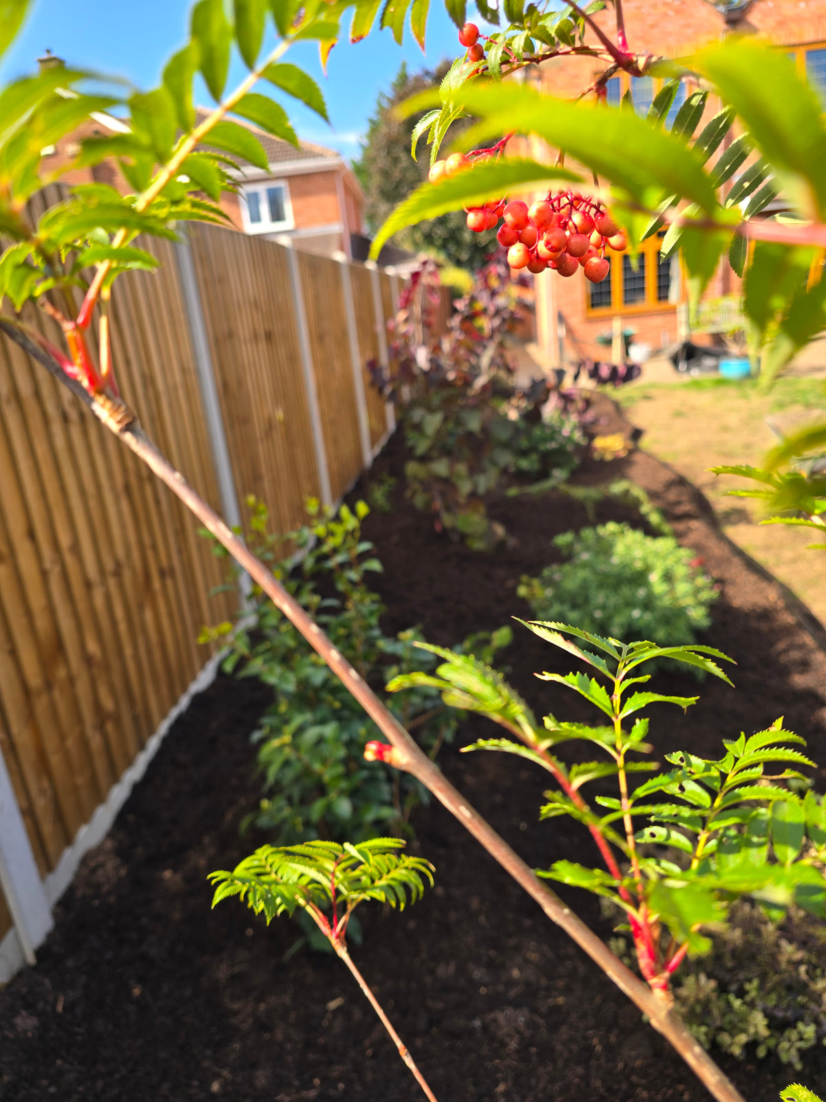 Garden project