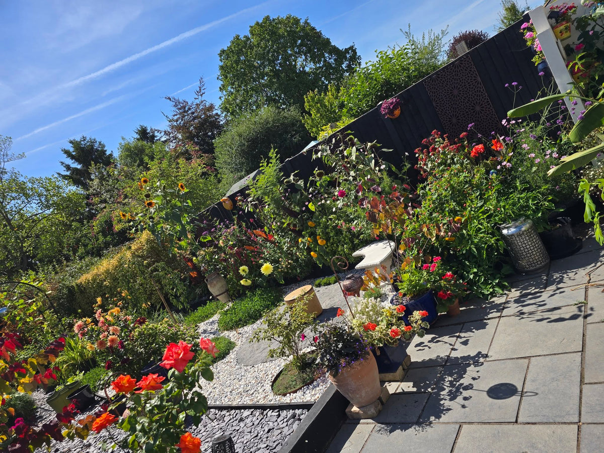 Garden project